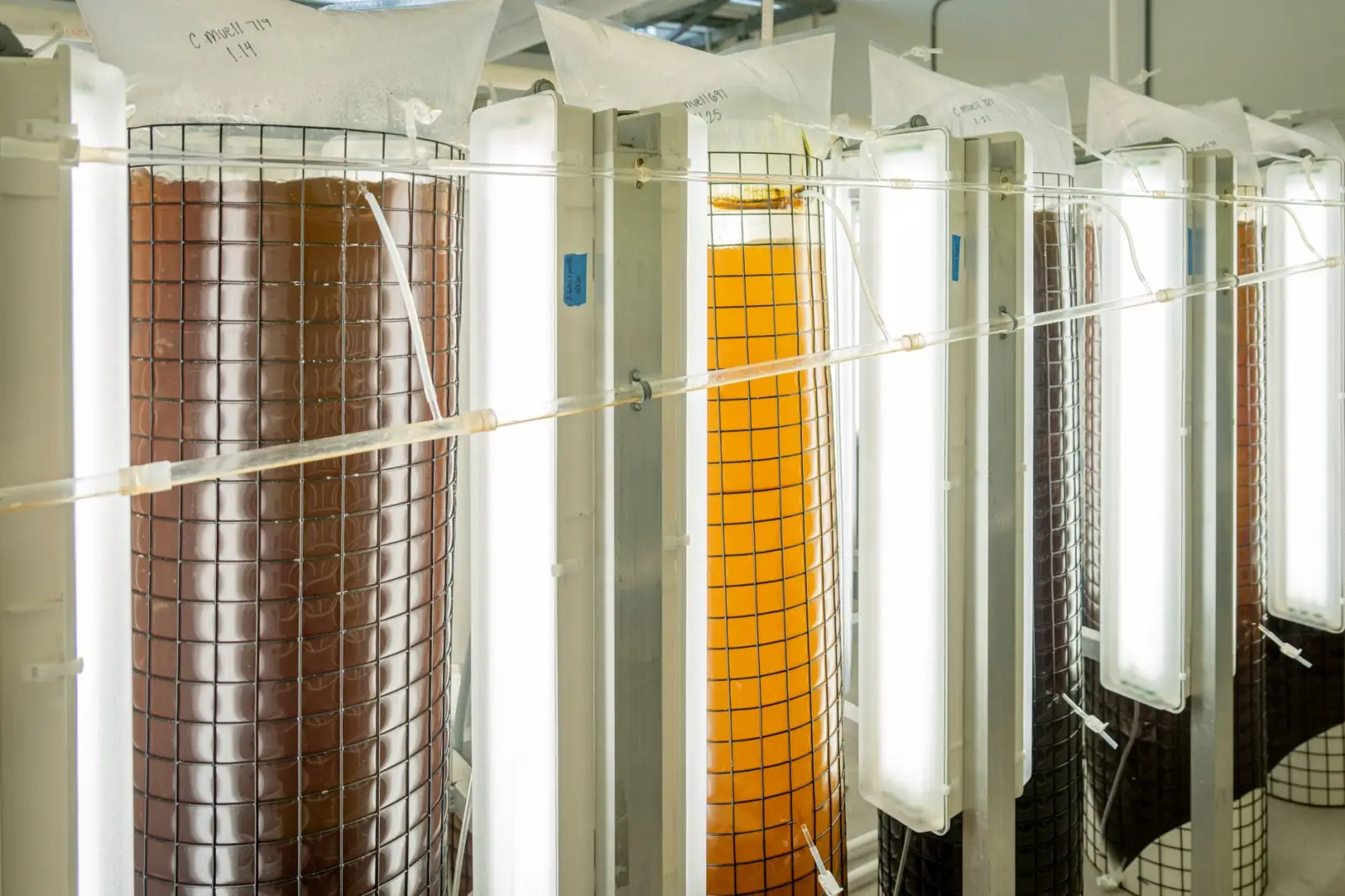 2025年影视制作行业技术升级趋势与全流程质量管控要点解析