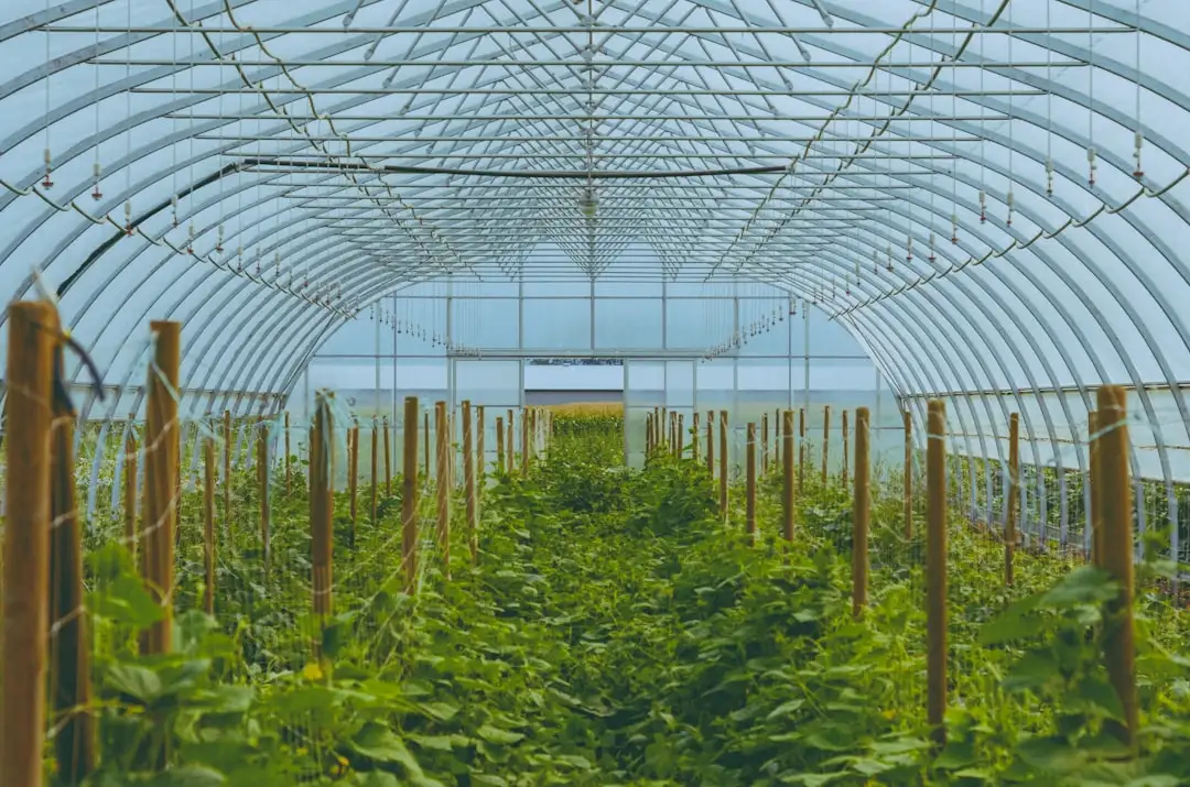 2024年影视制作技术趋势：虚拟制片与AI后期处理的应用前景