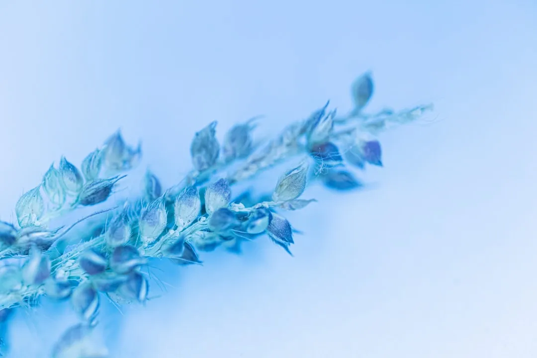 企业宣传片制作与广告投放协同策略：提升品牌曝光效率