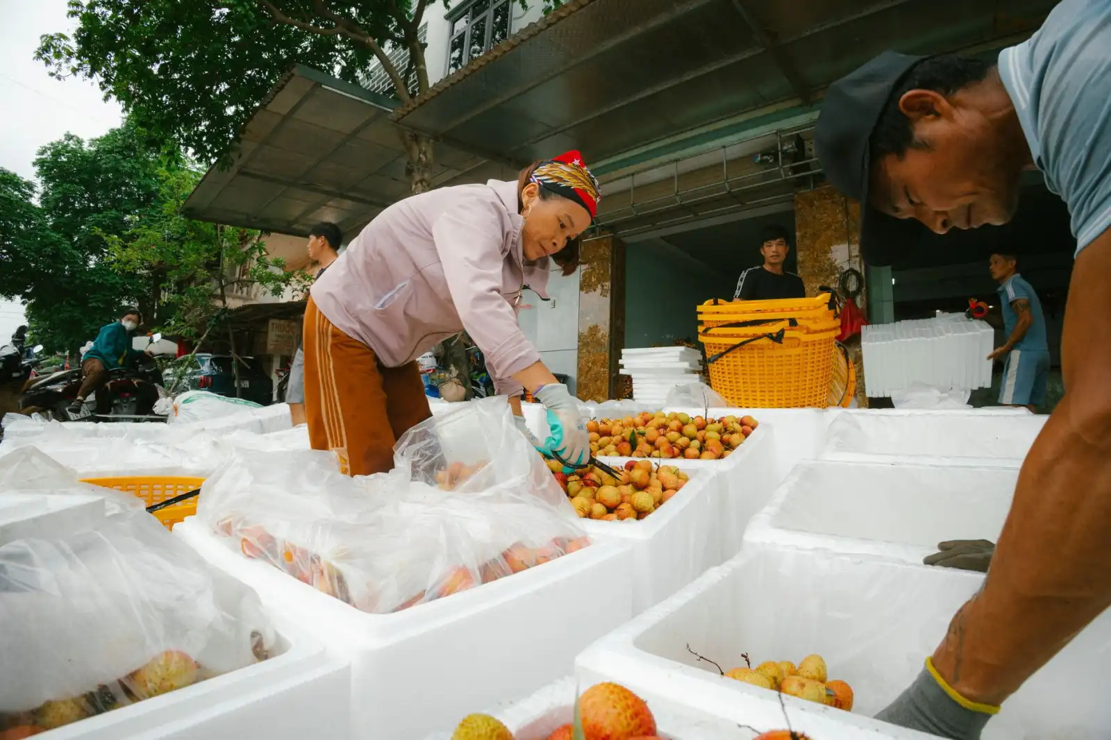 全媒体时代品牌整合策划的关键要素与执行流程解析